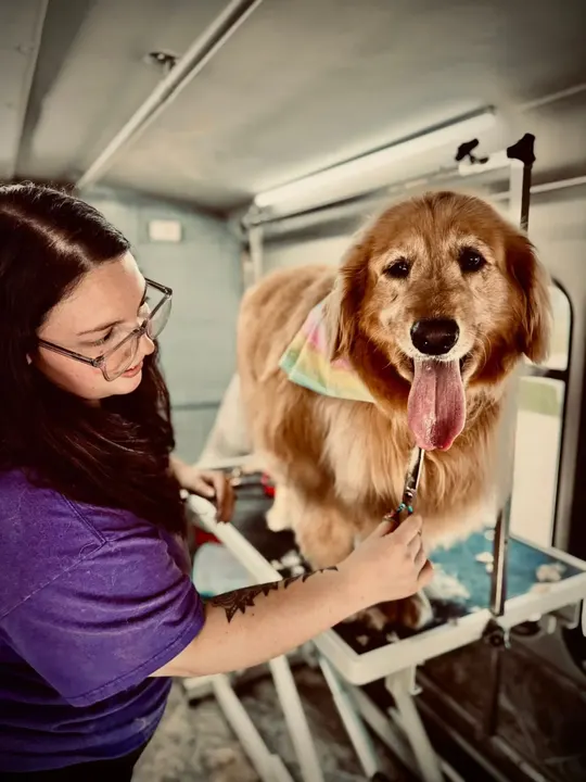 MAE's Pet Grooming photo 9