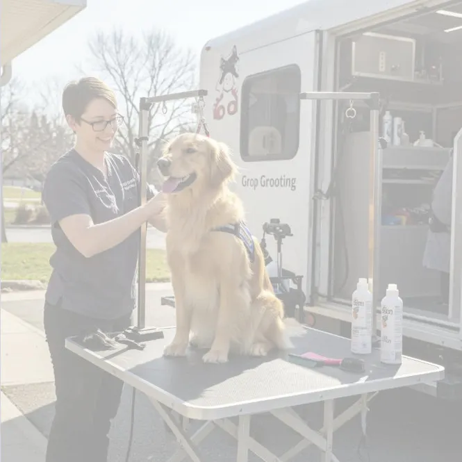 Mobile Pet Grooming